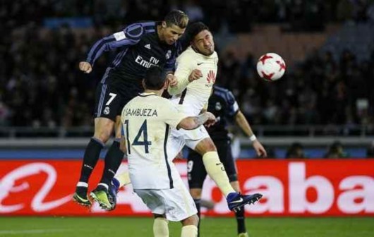 鲁媒的形象 鲁媒的形象