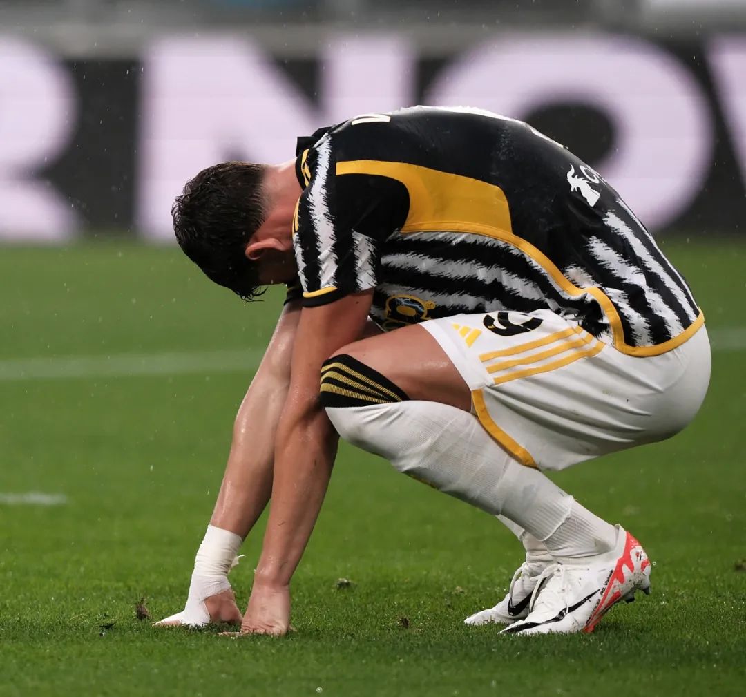 上海男篮外 上海男篮外